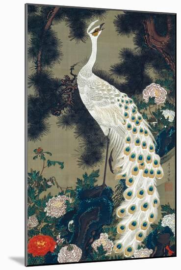 A Peacock, Pine and Peony-Jakuchu Ito-Mounted Giclee Print