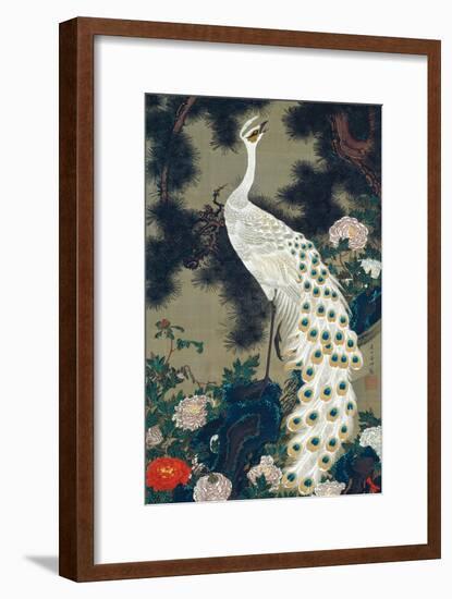 A Peacock, Pine and Peony-Jakuchu Ito-Framed Giclee Print