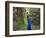 A Peacock Spreads its Feathers at the Alipore Zoo-null-Framed Photographic Print