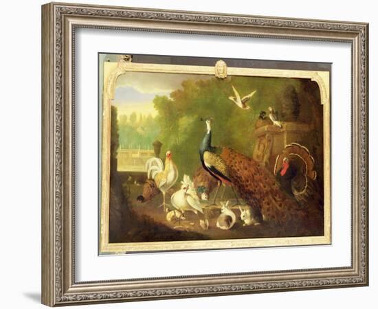 A Peacock, Turkey and Other Birds in an Ornamental Garden-Marmaduke Cradock-Framed Giclee Print