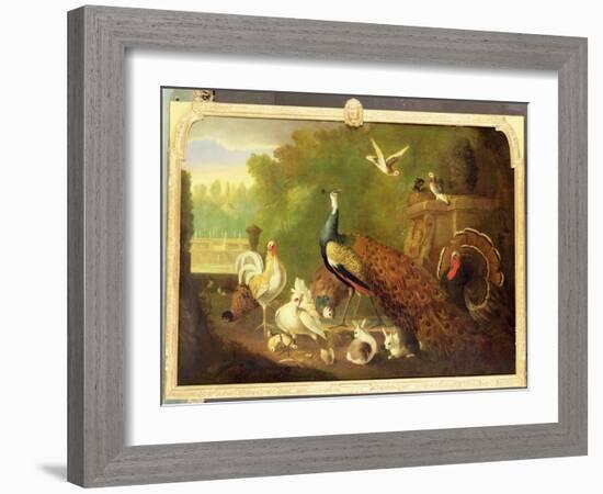 A Peacock, Turkey and Other Birds in an Ornamental Garden-Marmaduke Cradock-Framed Giclee Print