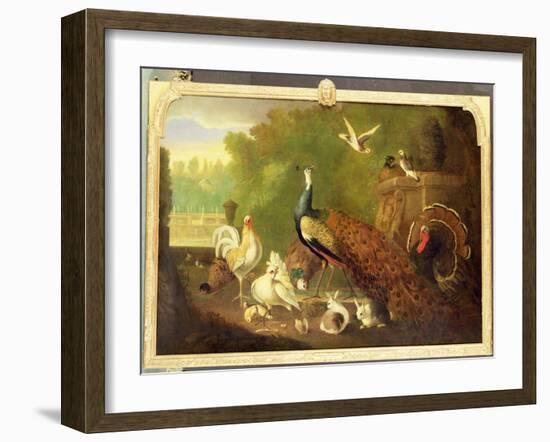 A Peacock, Turkey and Other Birds in an Ornamental Garden-Marmaduke Cradock-Framed Giclee Print