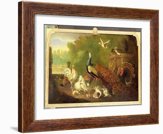 A Peacock, Turkey and Other Birds in an Ornamental Garden-Marmaduke Cradock-Framed Giclee Print