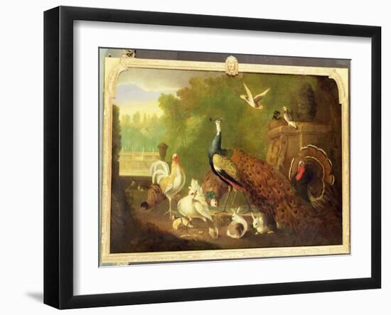 A Peacock, Turkey and Other Birds in an Ornamental Garden-Marmaduke Cradock-Framed Giclee Print