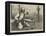 A Pearl Borer of Lucknow-William Heysham Overend-Framed Premier Image Canvas