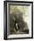 A Peasant Woman Grazing a Cow at the Edge of a Forest-Jean-Baptiste-Camille Corot-Framed Giclee Print