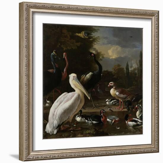 A Pelican and other Birds near a Pool, Known as ‘The Floating Feather’, c.1680-Melchior de Hondecoeter-Framed Giclee Print