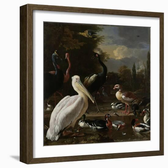 A Pelican and other Birds near a Pool, Known as ‘The Floating Feather’, c.1680-Melchior de Hondecoeter-Framed Giclee Print