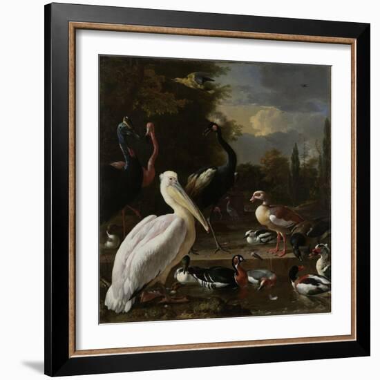 A Pelican and other Birds near a Pool, Known as ‘The Floating Feather’, c.1680-Melchior de Hondecoeter-Framed Giclee Print