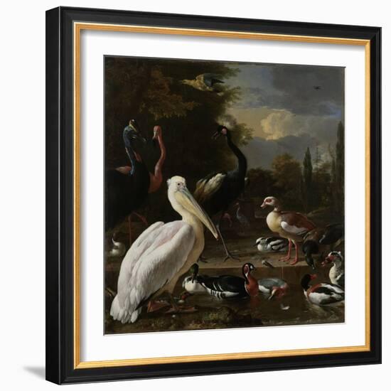 A Pelican and other Birds near a Pool, Known as ‘The Floating Feather’, c.1680-Melchior de Hondecoeter-Framed Giclee Print