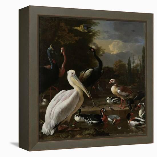 A Pelican and other Birds near a Pool, Known as ‘The Floating Feather’, c.1680-Melchior de Hondecoeter-Framed Premier Image Canvas