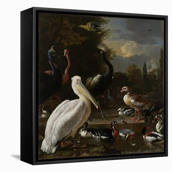 A Pelican and other Birds near a Pool, Known as ‘The Floating Feather’, c.1680-Melchior de Hondecoeter-Framed Premier Image Canvas