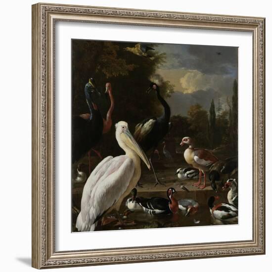 A Pelican and Other Birds Near a Pool, known as the Floating Feather-Melchior d'Hondecoeter-Framed Art Print