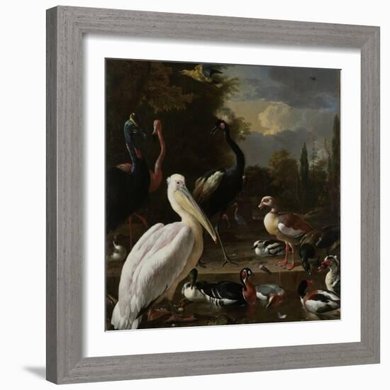 A Pelican and Other Birds Near a Pool, known as the Floating Feather-Melchior d'Hondecoeter-Framed Art Print