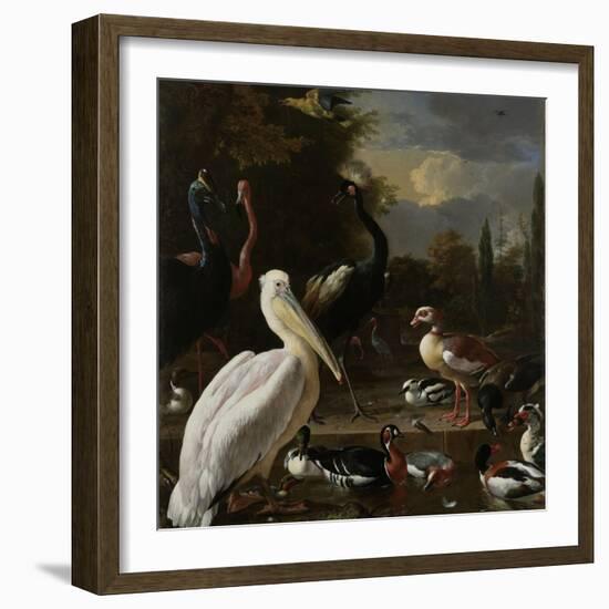 A Pelican and Other Birds Near a Pool, known as the Floating Feather-Melchior d'Hondecoeter-Framed Art Print