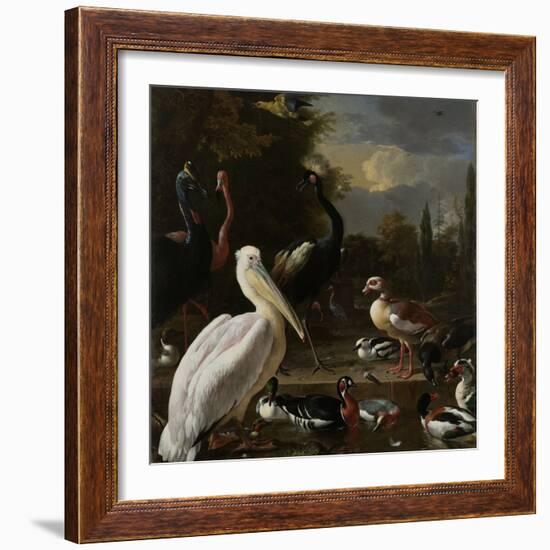 A Pelican and Other Birds Near a Pool, known as the Floating Feather-Melchior d'Hondecoeter-Framed Art Print