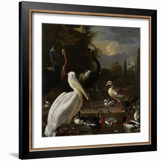 A Pelican and Other Birds Near a Pool, known as the Floating Feather-Melchior d'Hondecoeter-Framed Art Print