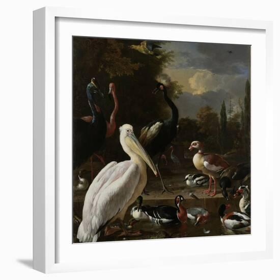 A Pelican and Other Birds Near a Pool, known as the Floating Feather-Melchior d'Hondecoeter-Framed Art Print