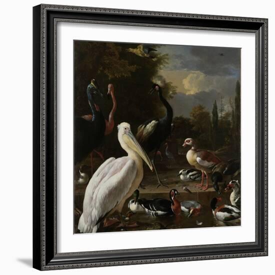 A Pelican and Other Birds Near a Pool, known as the Floating Feather-Melchior d'Hondecoeter-Framed Art Print
