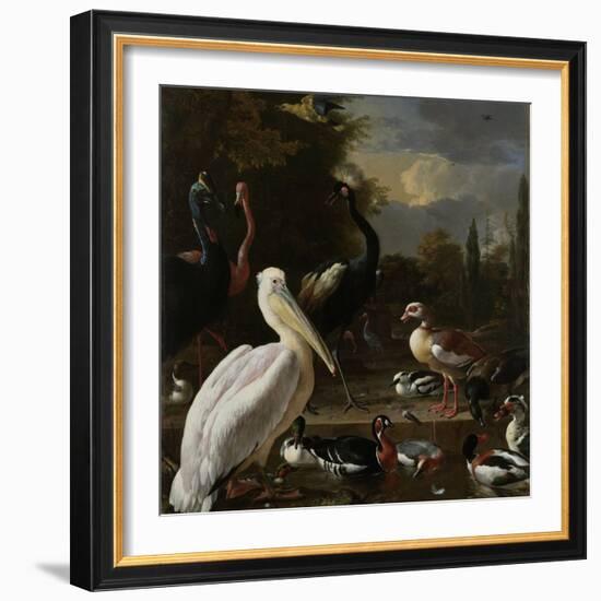 A Pelican and Other Birds Near a Pool, known as the Floating Feather-Melchior d'Hondecoeter-Framed Art Print