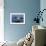 A Pelican Landing on the Water Near Walvis Bay, Namibia-Alex Saberi-Framed Photographic Print displayed on a wall