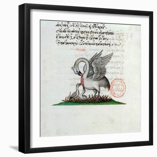 A Pelican Piercing Its Breast to Feed Its Young, from a Bestiary by Manuel Philes, 1566-null-Framed Giclee Print