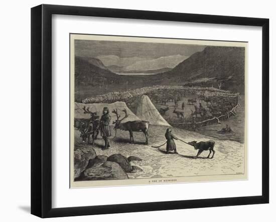 A Pen of Reindeer-Samuel Edmund Waller-Framed Giclee Print