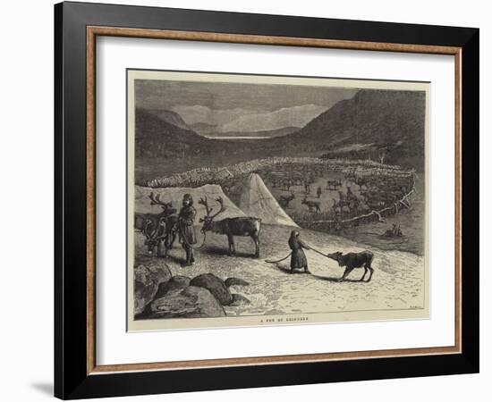 A Pen of Reindeer-Samuel Edmund Waller-Framed Giclee Print