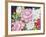 A Peony Cluster-Joanne Porter-Framed Giclee Print