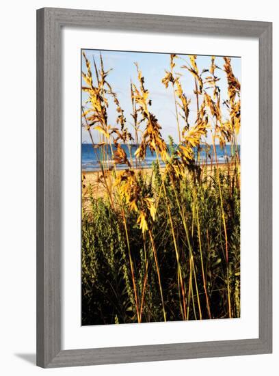 A Perfect Day 3-Alan Hausenflock-Framed Photographic Print