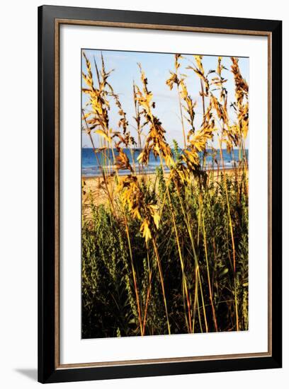 A Perfect Day 3-Alan Hausenflock-Framed Photographic Print