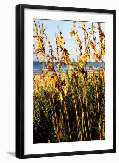 A Perfect Day 3-Alan Hausenflock-Framed Photographic Print