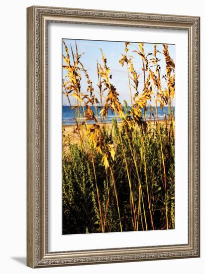 A Perfect Day 3-Alan Hausenflock-Framed Photographic Print