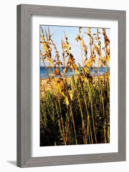 A Perfect Day 3-Alan Hausenflock-Framed Photographic Print