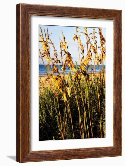 A Perfect Day 3-Alan Hausenflock-Framed Photographic Print