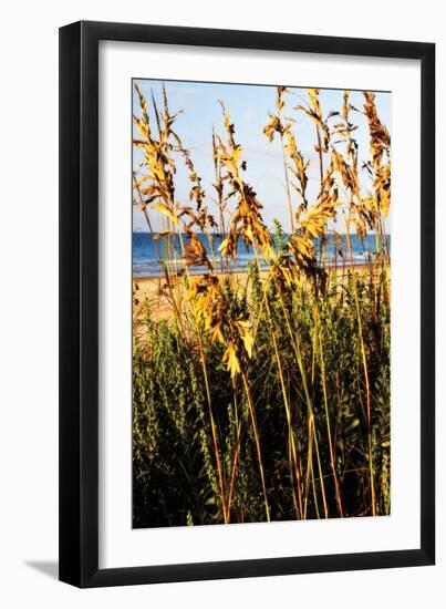 A Perfect Day 3-Alan Hausenflock-Framed Photographic Print