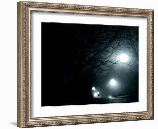 A Person Running in Propsect Park, Brooklyn, New York City-Sabine Jacobs-Framed Photographic Print