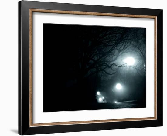 A Person Running in Propsect Park, Brooklyn, New York City-Sabine Jacobs-Framed Photographic Print