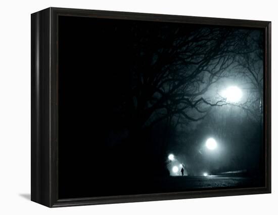 A Person Running in Propsect Park, Brooklyn, New York City-Sabine Jacobs-Framed Premier Image Canvas