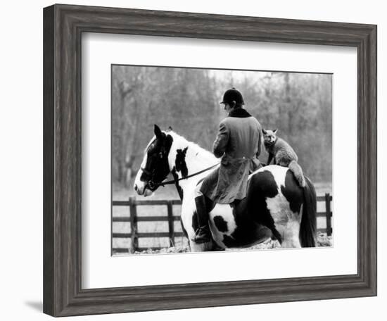 A Pet Fox Sits on the Horse of Its Owner-null-Framed Photographic Print