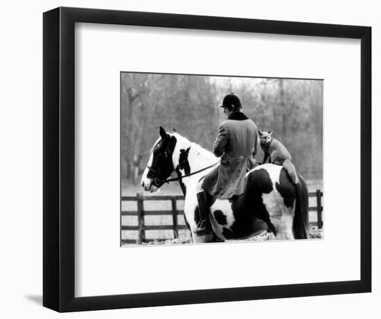 A Pet Fox Sits on the Horse of Its Owner-null-Framed Photographic Print