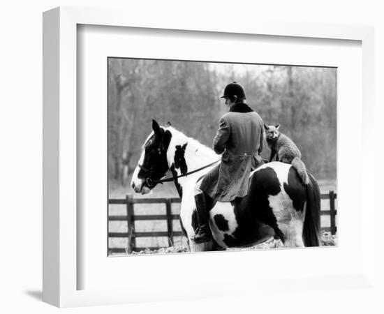 A Pet Fox Sits on the Horse of Its Owner-null-Framed Photographic Print