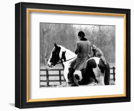 A Pet Fox Sits on the Horse of Its Owner-null-Framed Photographic Print