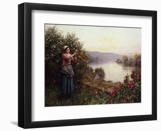 A Pet Rosebush-Daniel Ridgway Knight-Framed Giclee Print