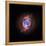 A Phase that Sun-like stars Undergo at the End of their Lives, Cat's Eye Nebula Redux, Chandra data-null-Framed Premier Image Canvas