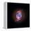 A Phase that Sun-like stars Undergo at the End of their Lives, Cat's Eye Nebula Redux, Chandra data-null-Framed Premier Image Canvas