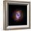 A Phase that Sun-like stars Undergo at the End of their Lives, Cat's Eye Nebula Redux, Chandra data-null-Framed Photographic Print