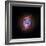 A Phase that Sun-like stars Undergo at the End of their Lives, Cat's Eye Nebula Redux, Chandra data-null-Framed Photographic Print