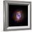 A Phase that Sun-like stars Undergo at the End of their Lives, Cat's Eye Nebula Redux, Chandra data-null-Framed Photographic Print