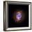 A Phase that Sun-like stars Undergo at the End of their Lives, Cat's Eye Nebula Redux, Chandra data-null-Framed Photographic Print